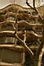 126_Casa_Mila_la_Pedrera.JPG