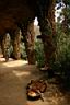 404_Parc_Guell.JPG