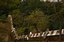459_Parc_Guell.JPG